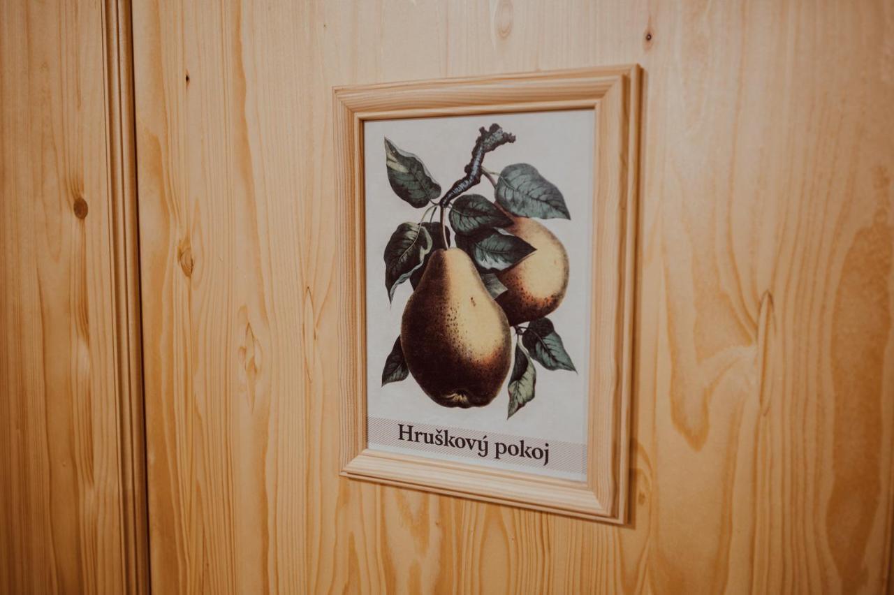 Penzion Brusinka Kocourov  Екстериор снимка
